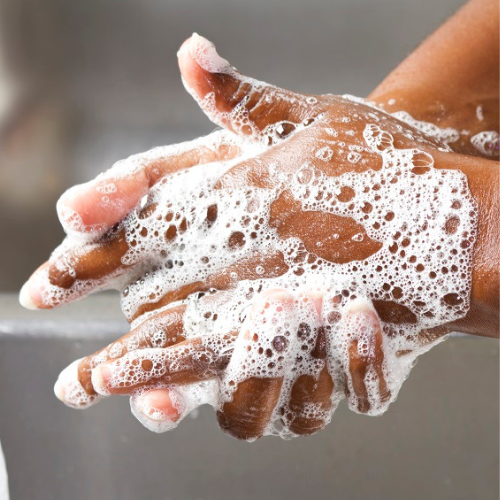 Sage & Lemon natural plant based Foaming Hand Soap