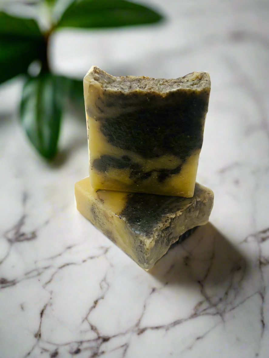 "NEW" Cinnameg & Coffee Plant-Based Bar Soap – Exfoliate, Nourish and Revitalize Dry Skin