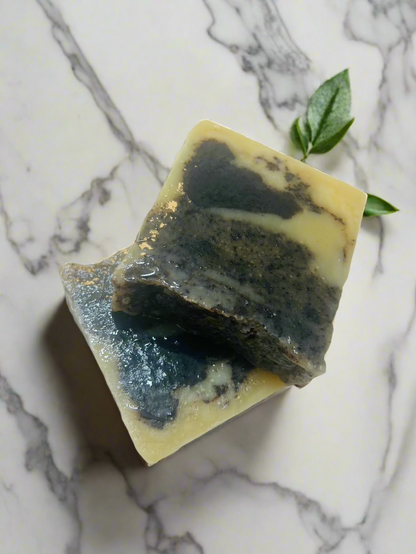 "NEW" Cinnameg & Coffee Plant-Based Bar Soap – Exfoliate, Nourish and Revitalize Dry Skin