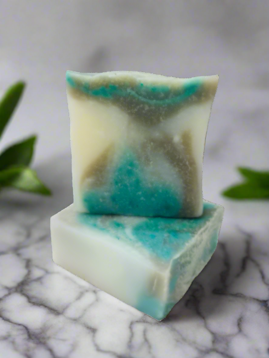 "NEW" Coconut Clay Oily Skin Face/Body Bar Soap