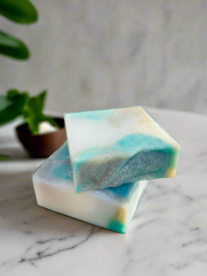 "NEW" Coconut Clay Oily Skin Face/Body Bar Soap